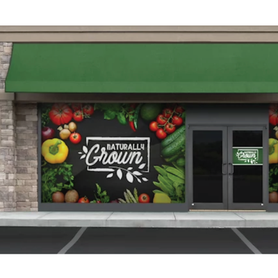 Window Graphics | Standard Adhesive